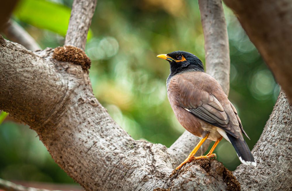 Photograph by Диана Бородзе