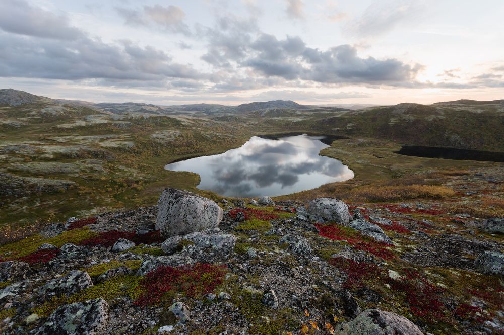 Photograph by Сергей Дивид