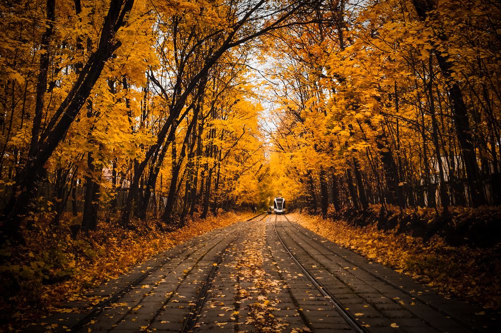 Photograph by Элен Пройс