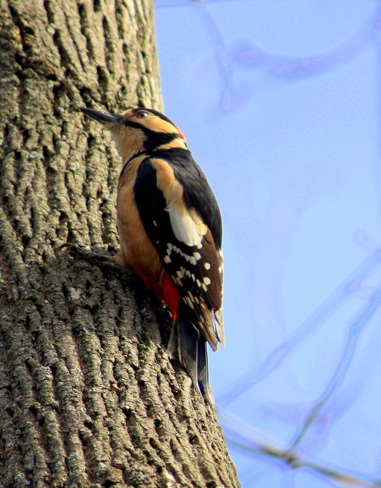 Photograph by Ольга Павлова