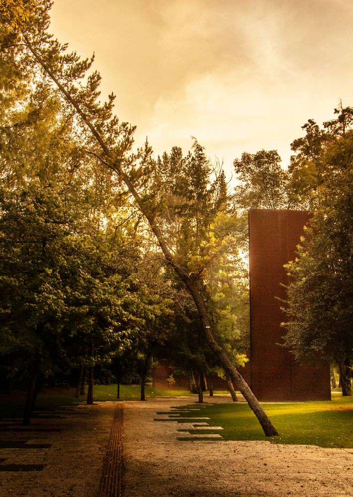 Photograph by Jorge Bagnuoli