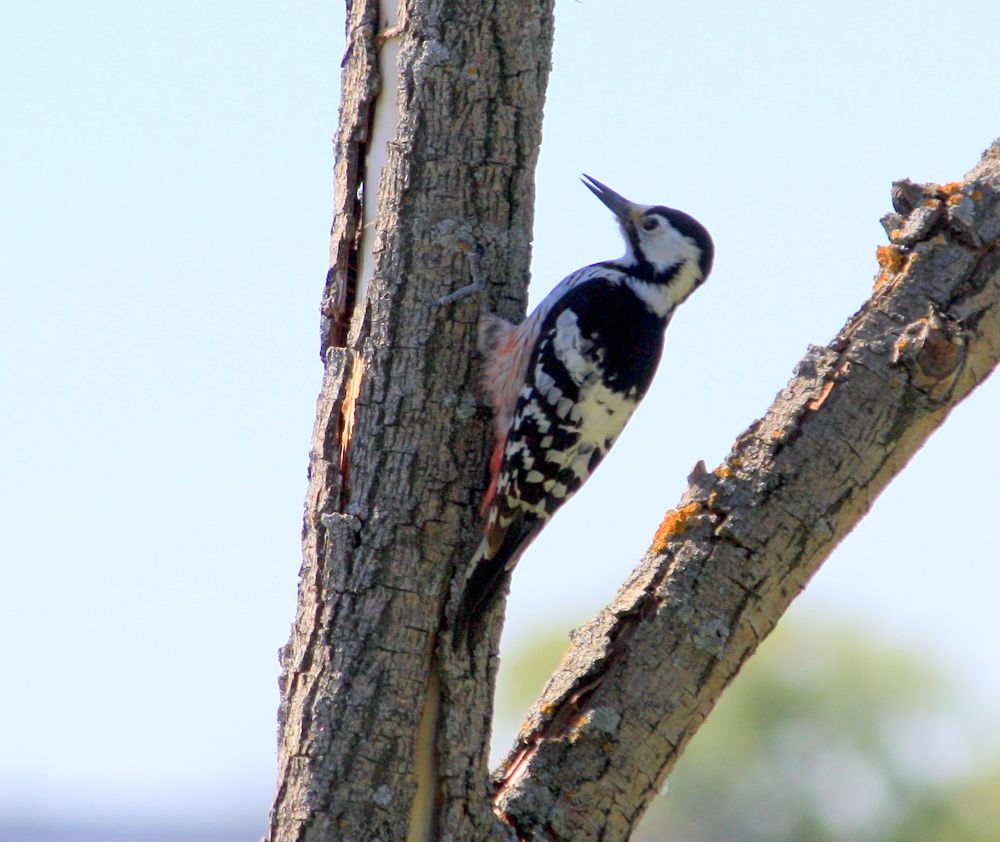 Photograph by Ольга Павлова