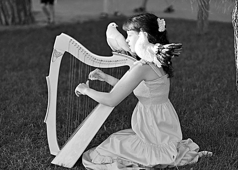 Фотография автора Ольга Гатауллина