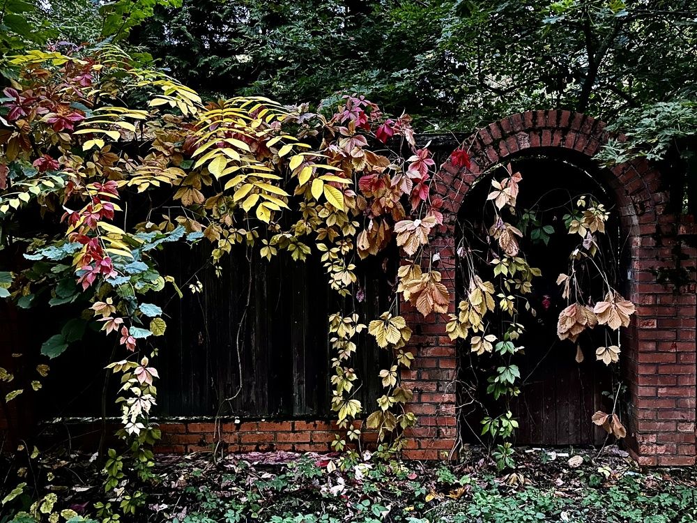 Photograph by Елена Брижеватая