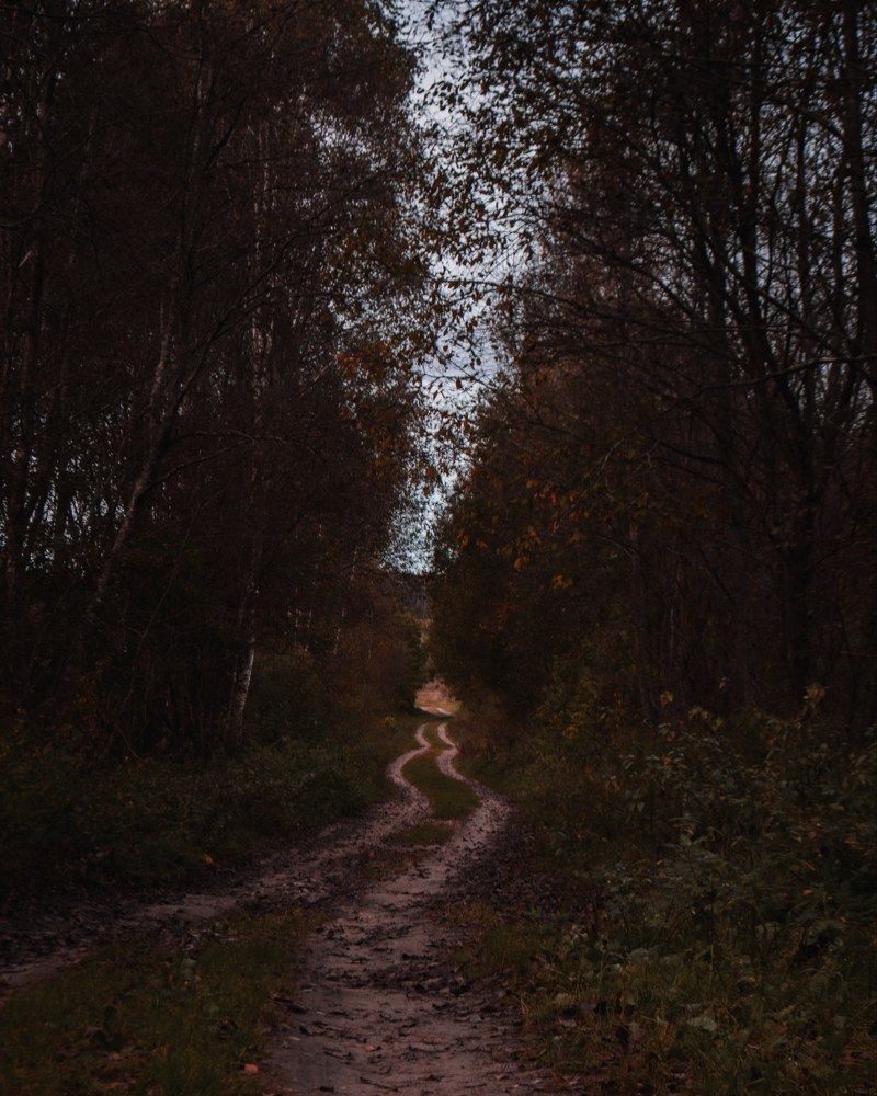 Фотография автора Владислав Базылев