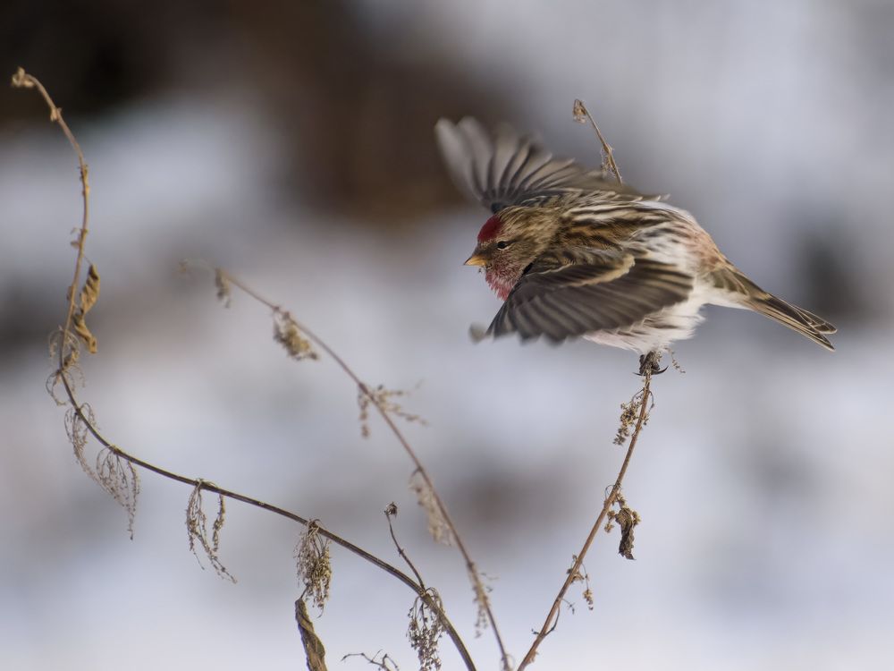 Photograph by Евгений