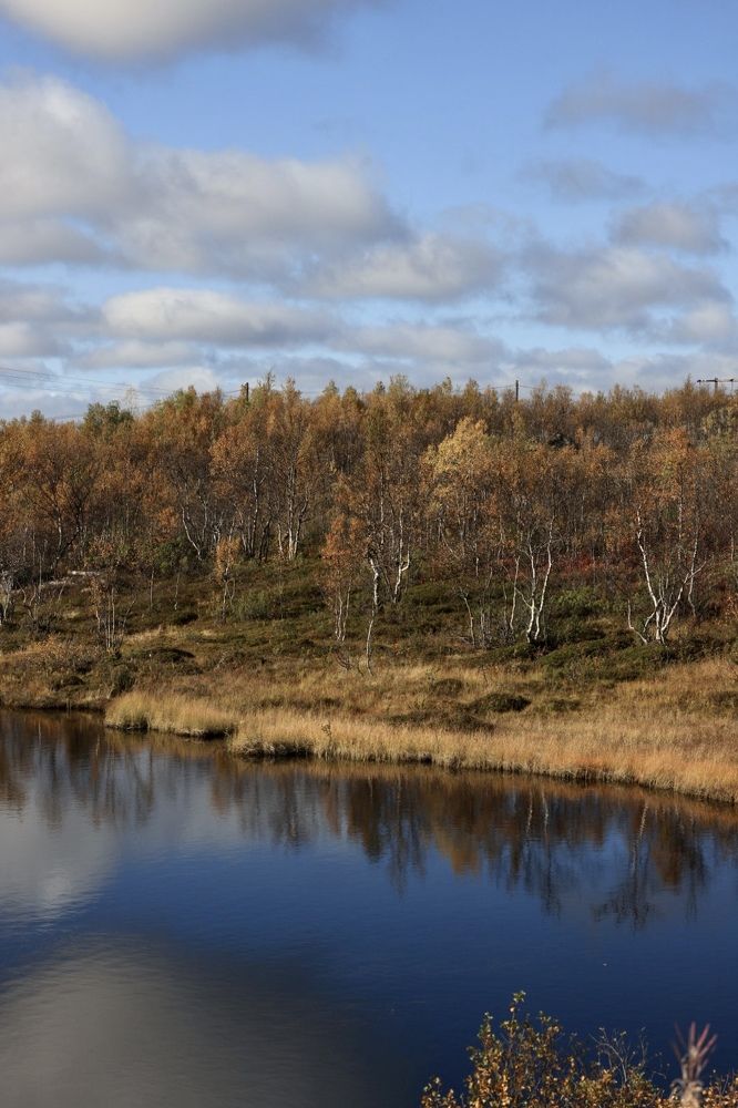 Photograph by Ольга Одаренко