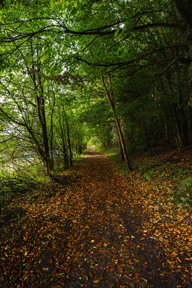 Autumn morning in Súľova Hradná