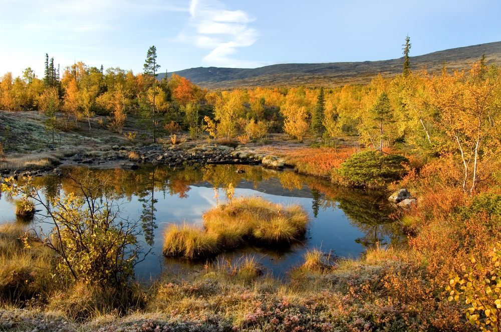 Photograph by ARTEM KORZHUKOV