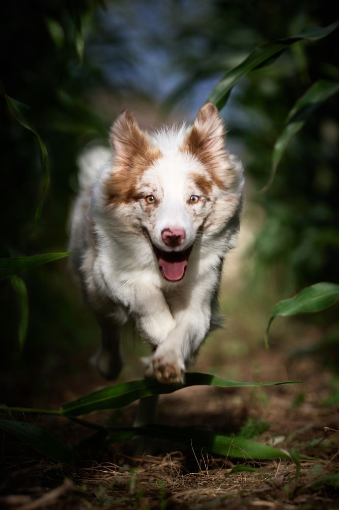 Фотография автора Вострецов Иван