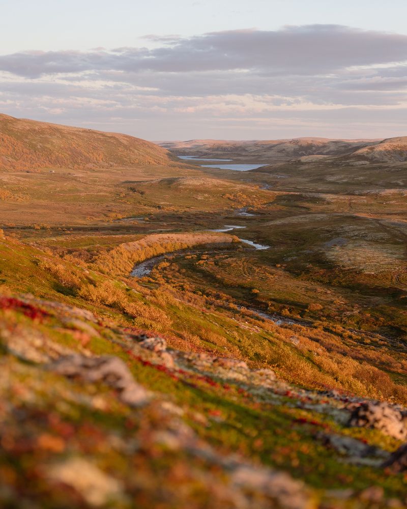 Photograph by Сергей Дивид