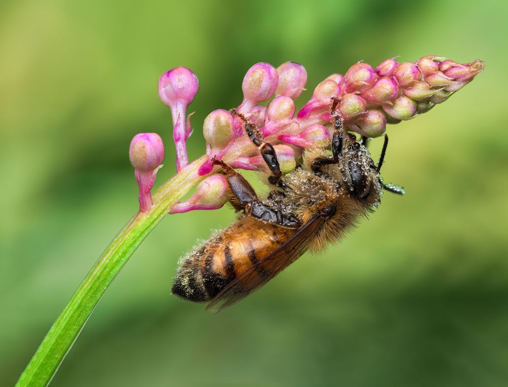 Photograph by Atul Saluja