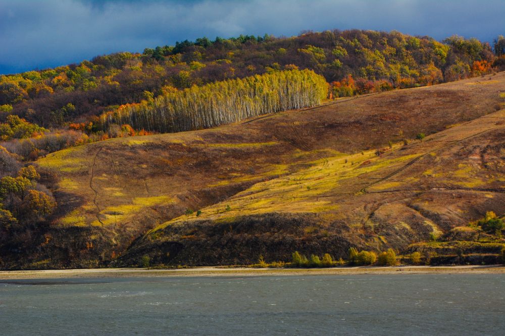 Photograph by Onyx X