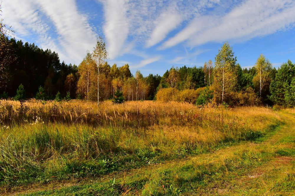 Photograph by Николай Абакумов