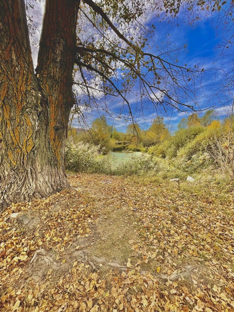 Photograph by Олег Китаев