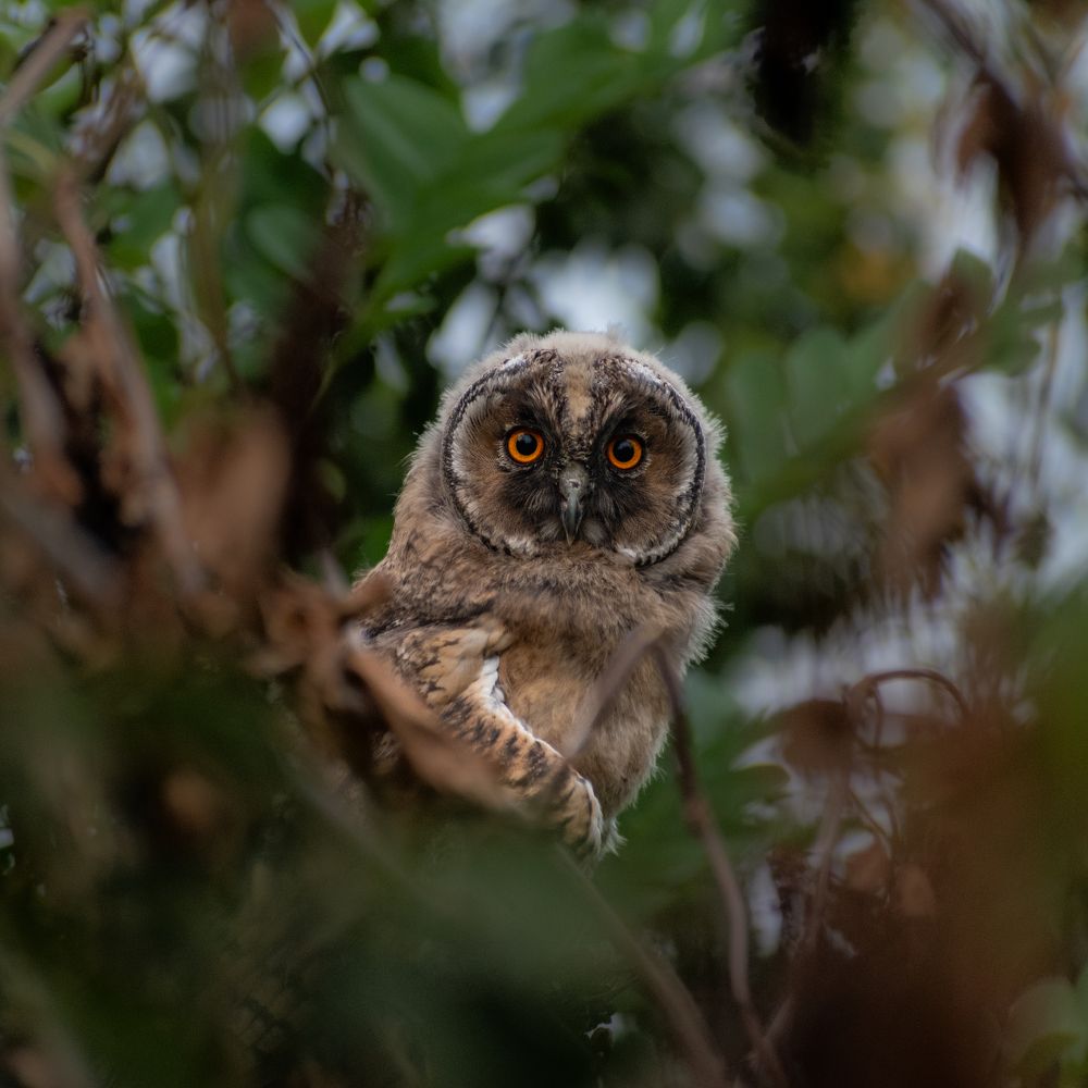 Photograph by Милан Ђорђевић