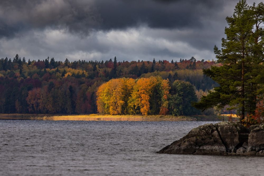 Photograph by Дмитрий Петухов