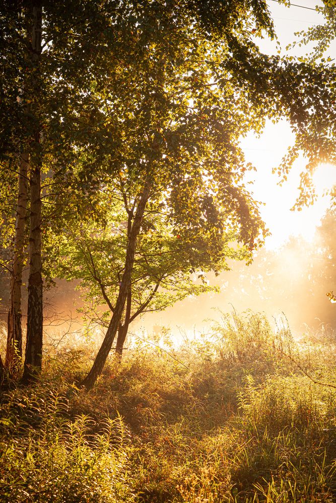 Photograph by Мария Купревич