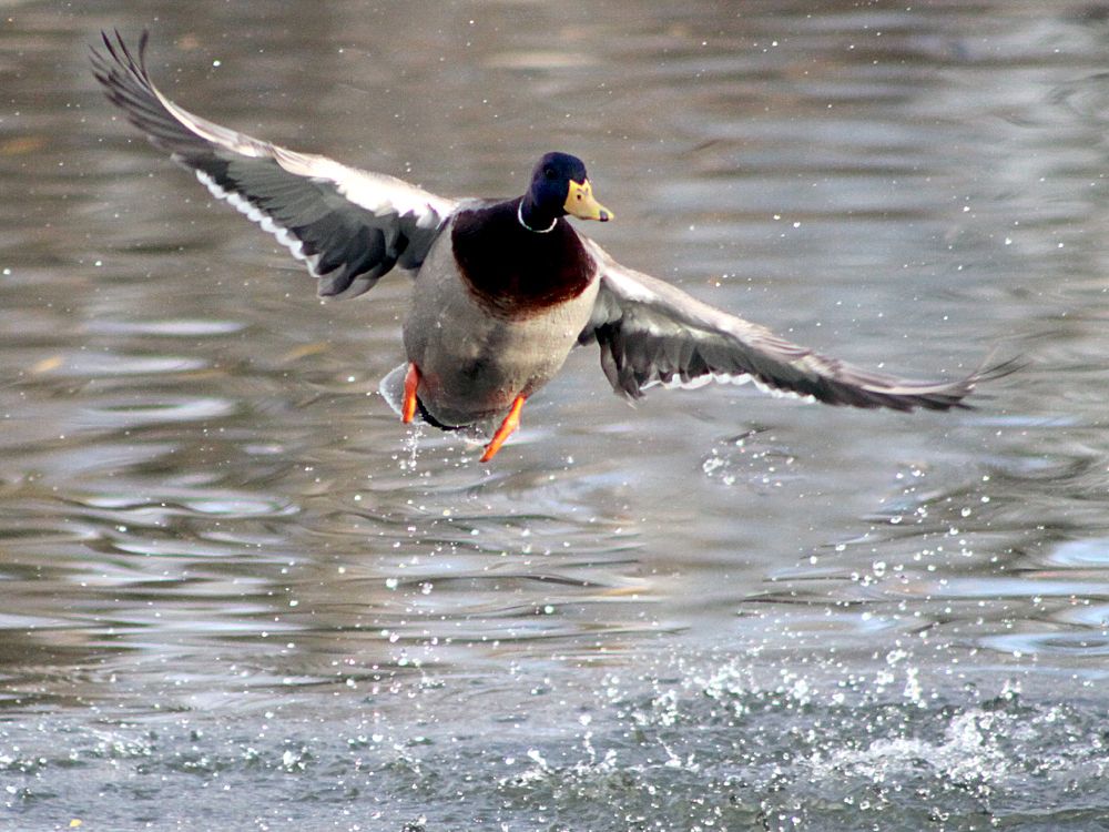 Photograph by Алексей Коношонкин