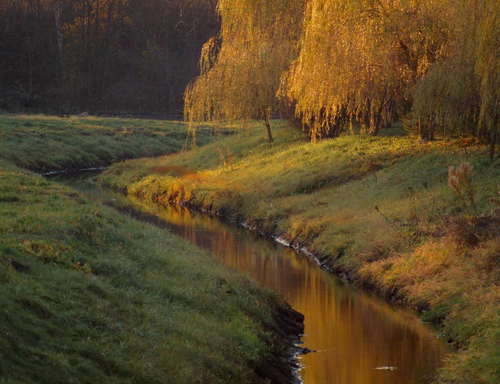 Photograph by Dmitry Kuzmich