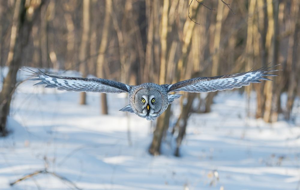 Photograph by Михаил