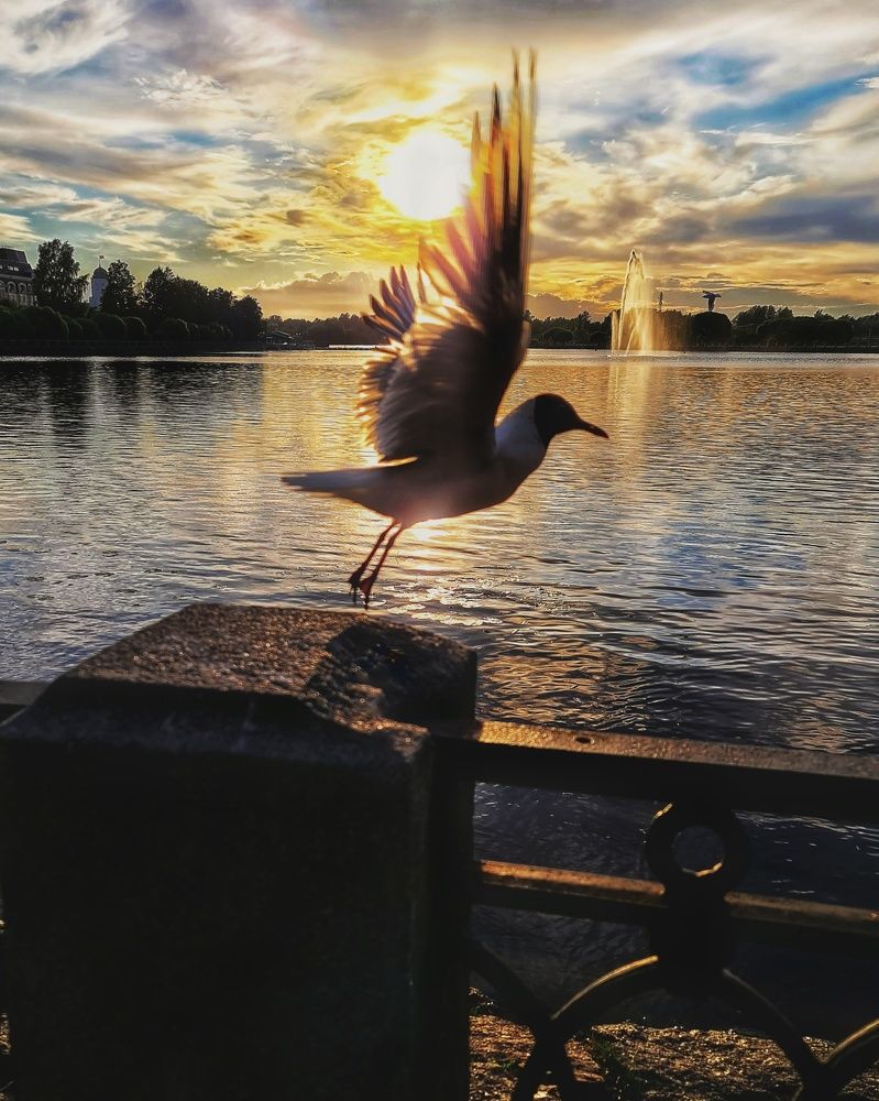 Photograph by Наталья Иванова