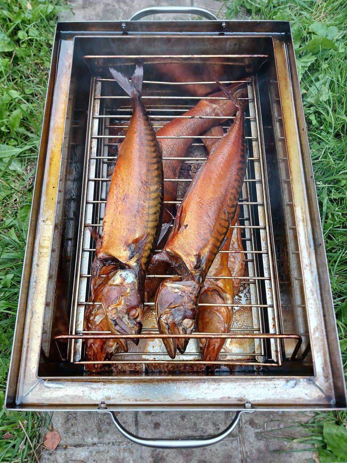В предвкушении