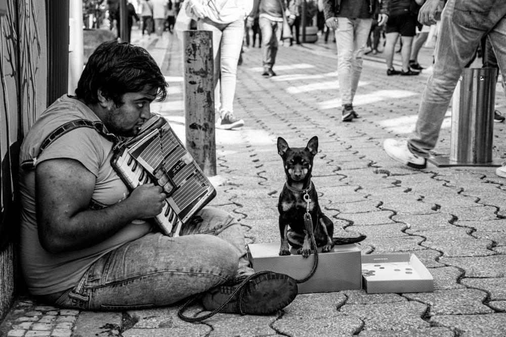 Photograph by Francisco José López Fernández