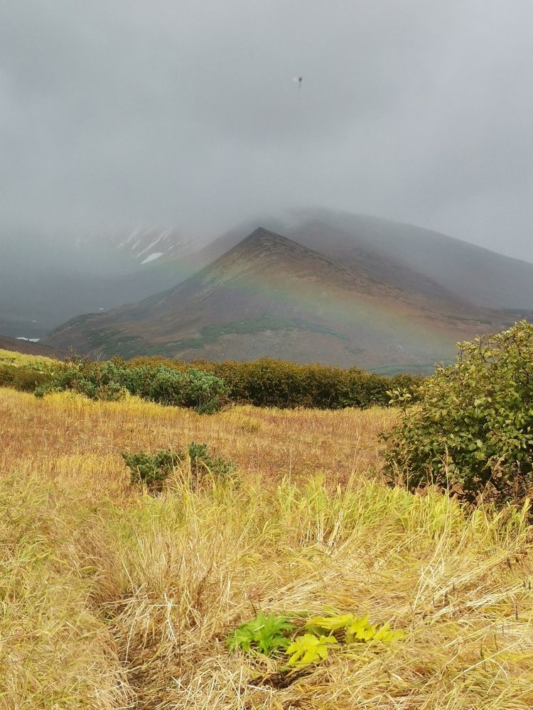 Фотография автора Екатерина