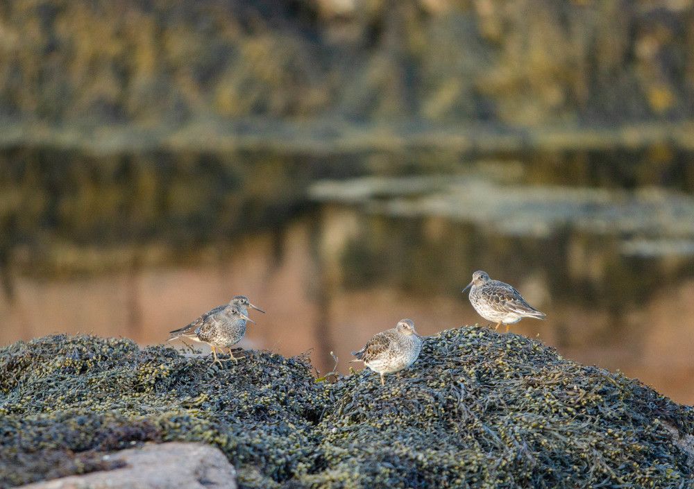 Photograph by Alina Bystrova