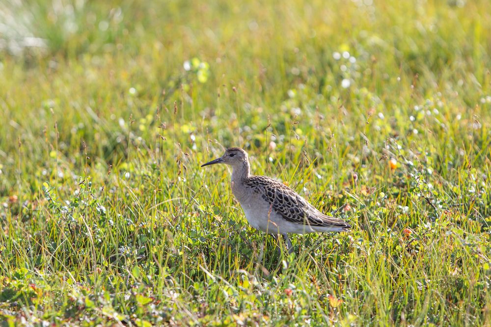 Photograph by Alina Bystrova