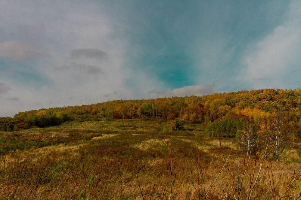 Photograph by Артем Ковалев