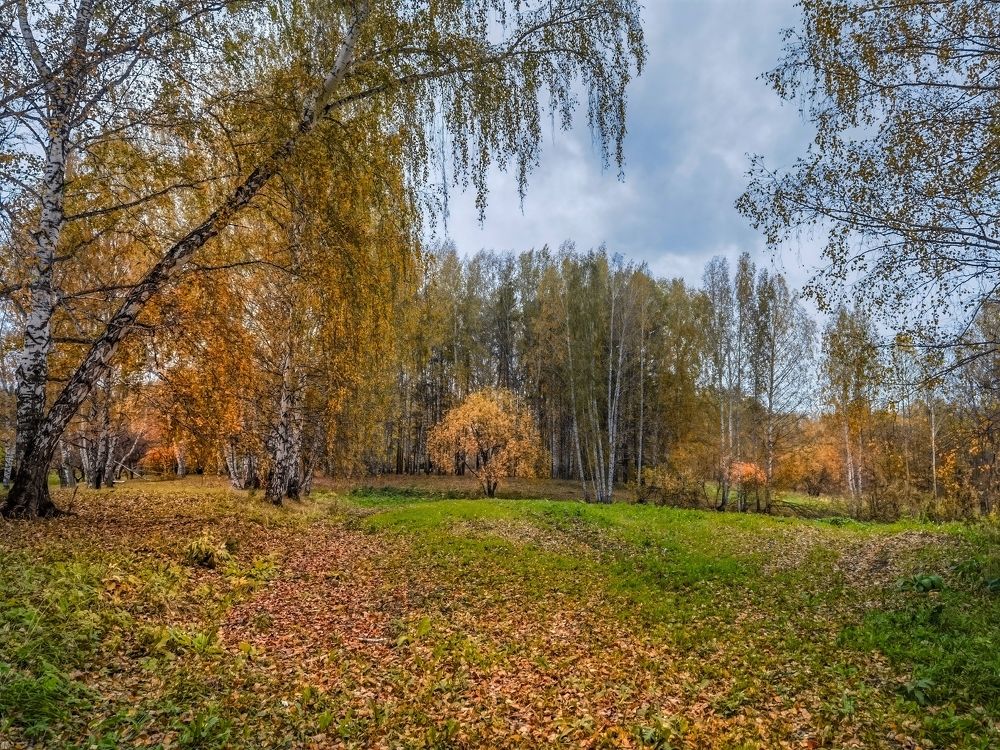 Photograph by Александр Разумов