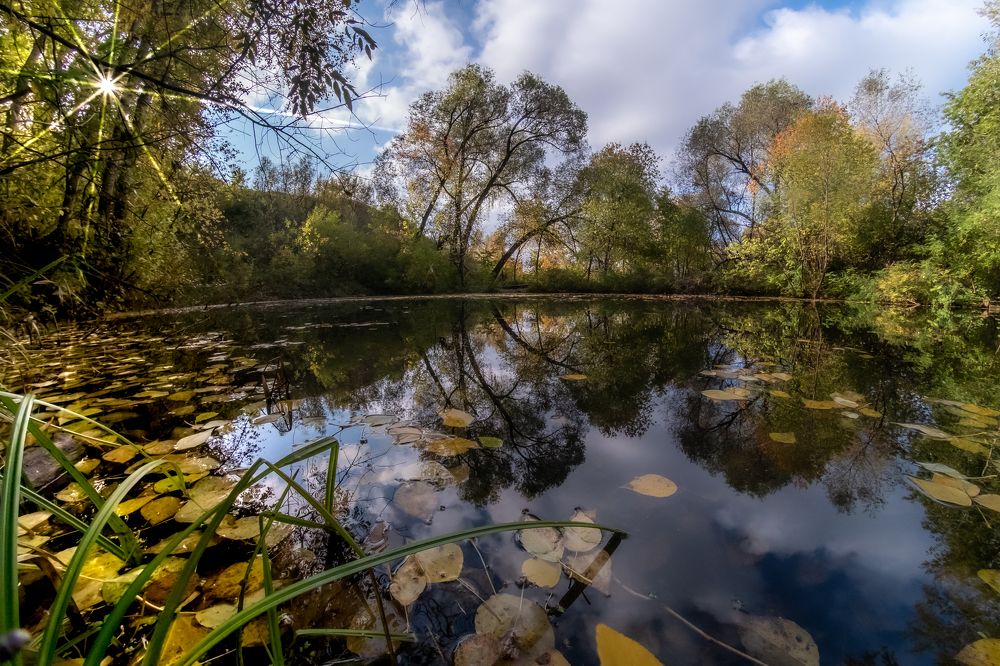 Photograph by Александр Разумов