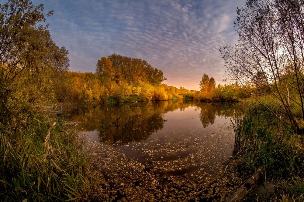 Photograph by Александр Разумов