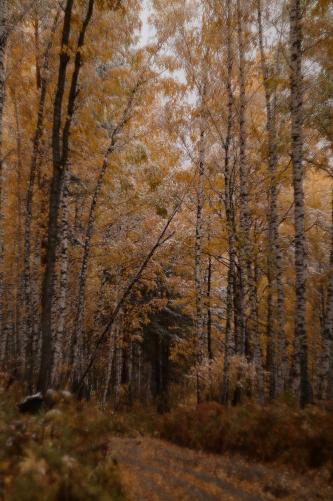 Photograph by Elena Kilina