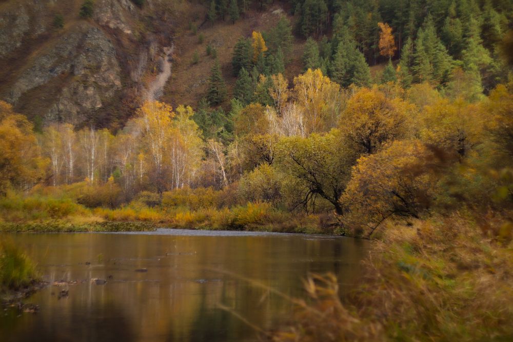 Photograph by Elena Kilina