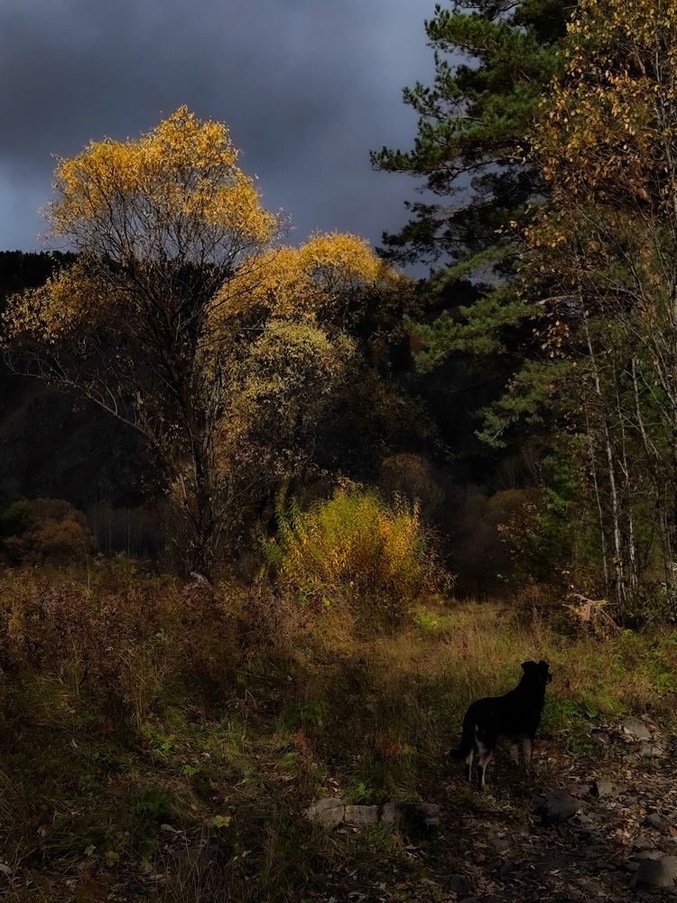 Photograph by Elena Kilina