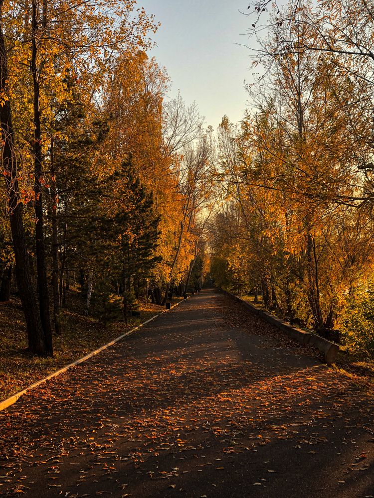 Фотография автора Светлана Гончарова