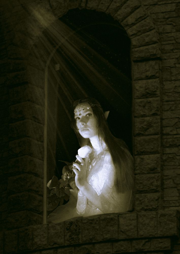 Фотография автора Светлана Зубова