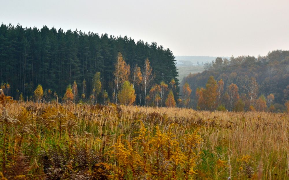 Photograph by Onyx X