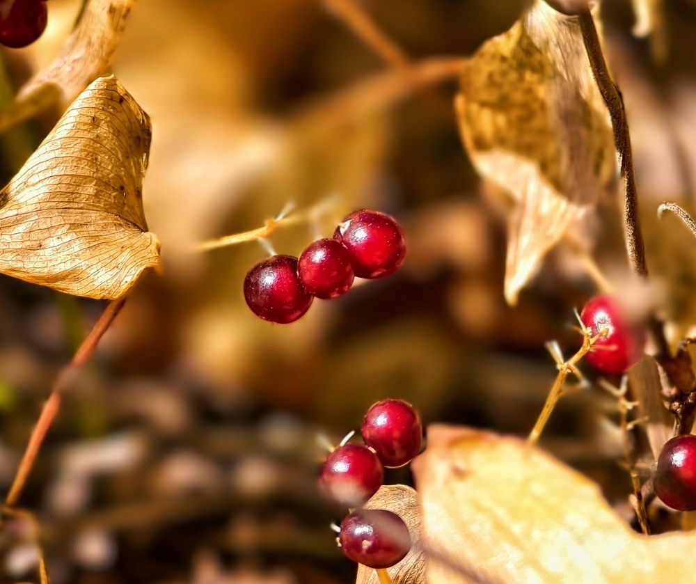Фотография автора Stanislav Ermolin
