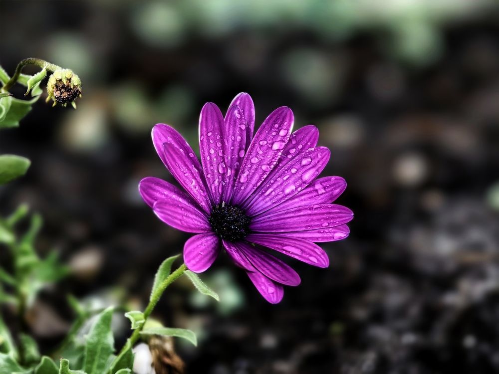 Фотография автора Stanislav Ermolin