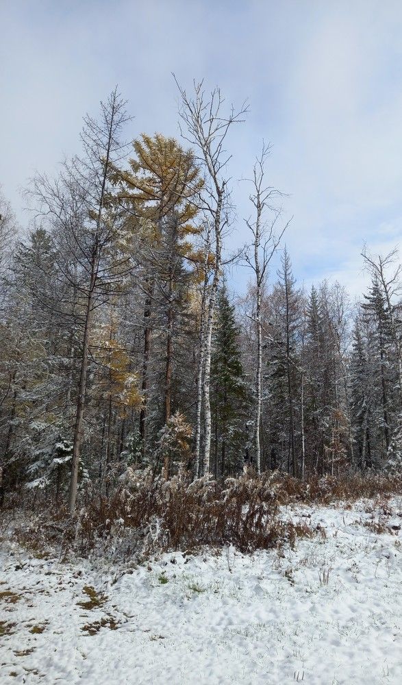 Photograph by Андрей Садчиков