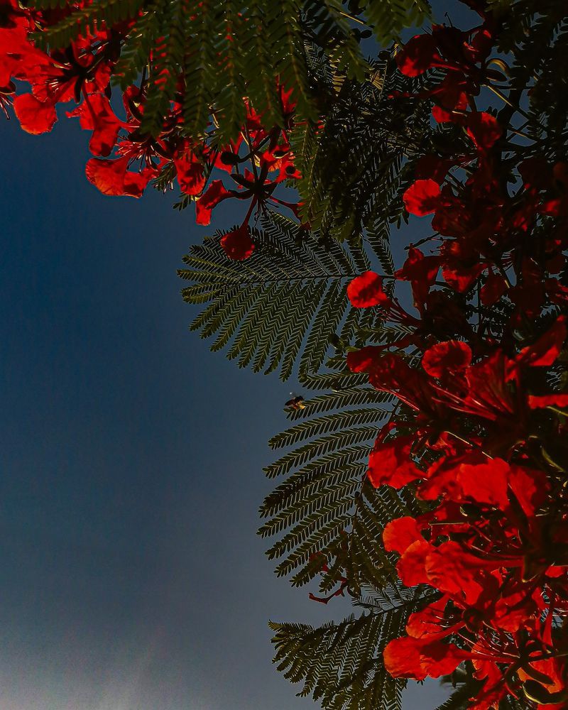 Photograph by Salmaan dada