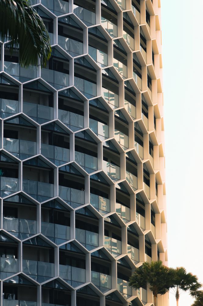 Фотография автора Gustavo Orellana