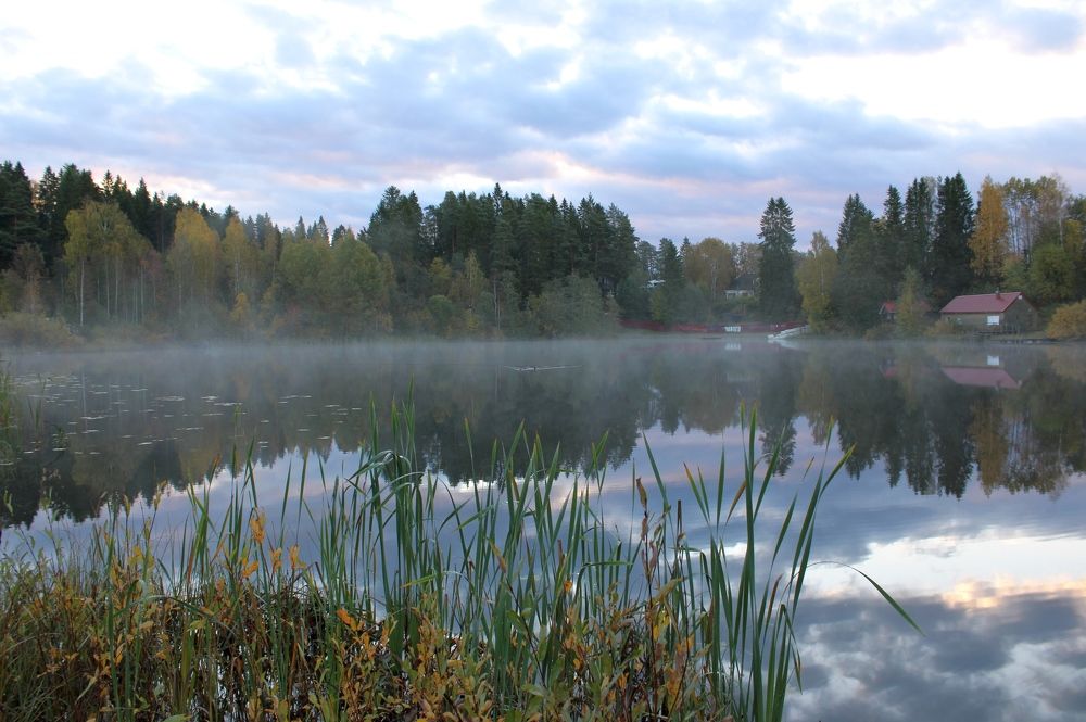 Photograph by Olga Bagaeva