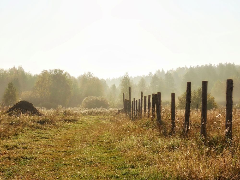 Фотография автора Екатерина Солохина