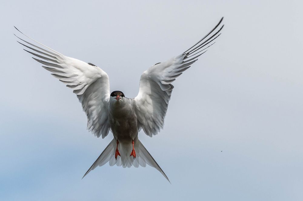 Photograph by Александр Щербаков