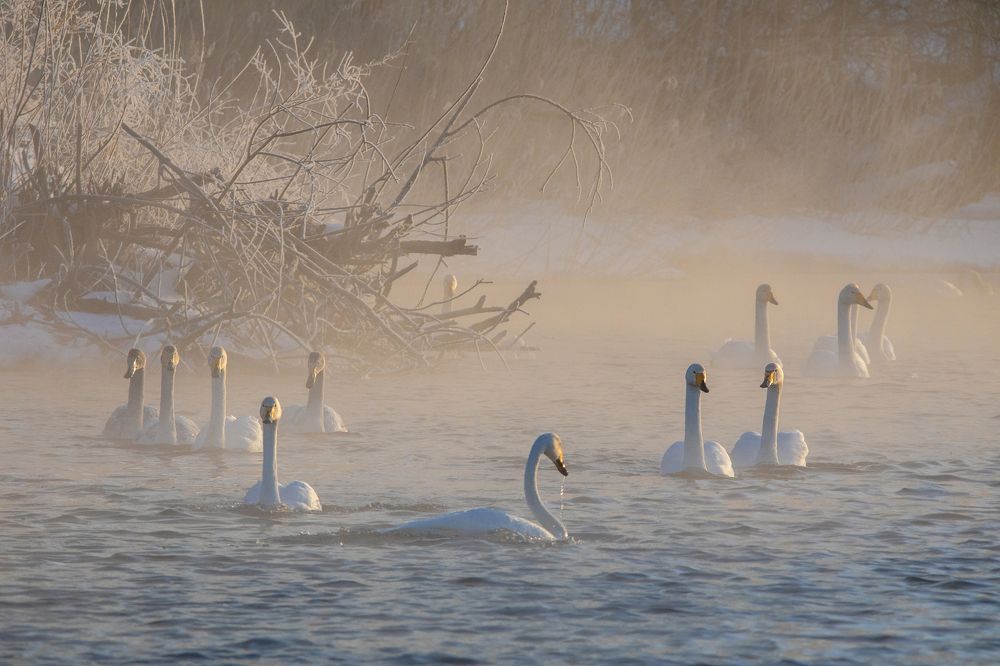 Photograph by Дмитрий Юдин